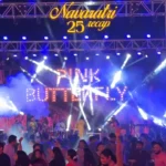 Navratri Recap – Video Reel VN Template